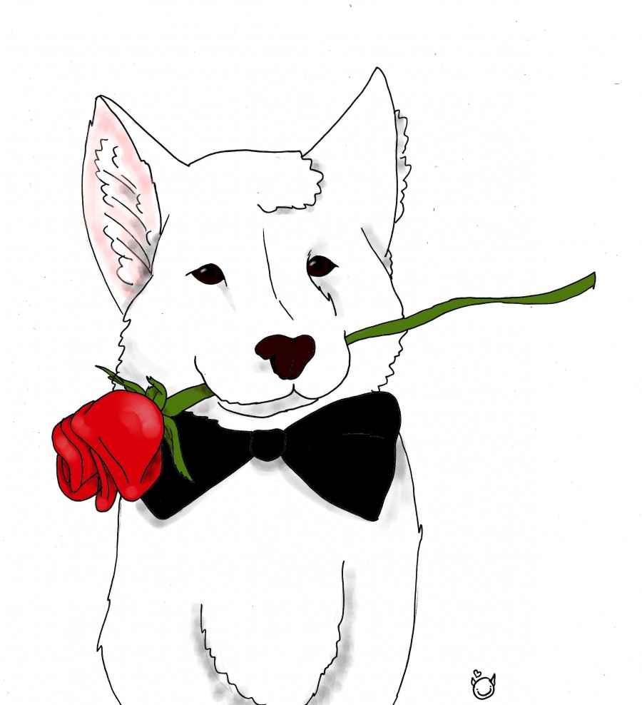 Fan Art: Puppy