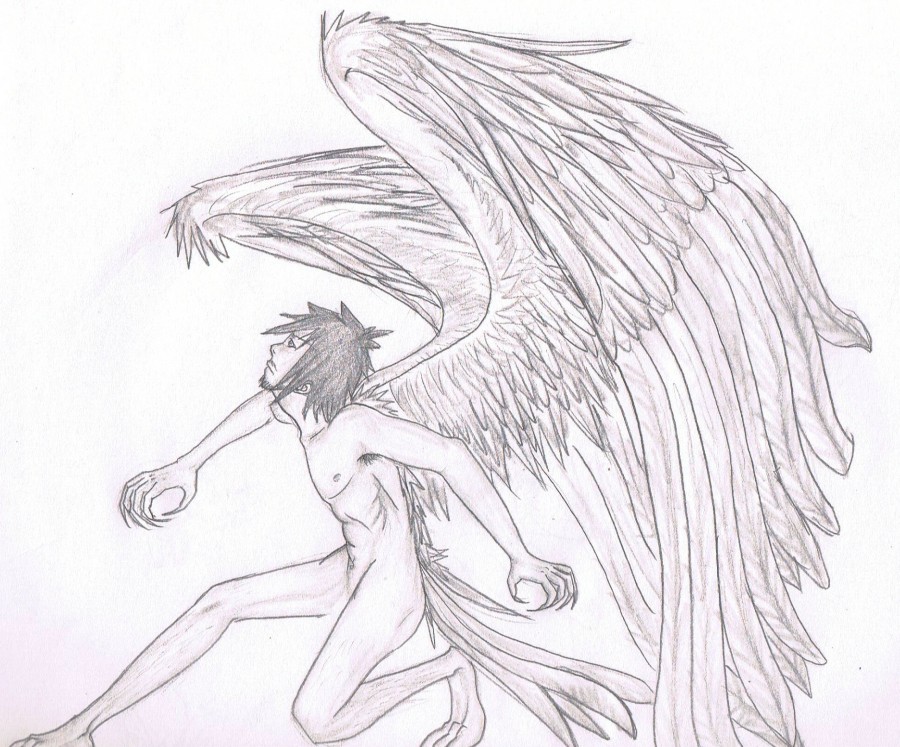 Fan Art: The Fallen Will Fly Again