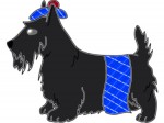 Caledonian Puppy
