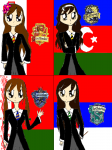 SATW OCs-Hogwarts Houses