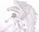 The Fallen Will Fly Again