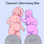 Dawson's Burrowing Bee