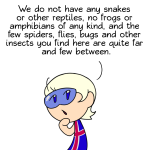 Iceland's Bugs