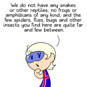 Iceland's Bugs