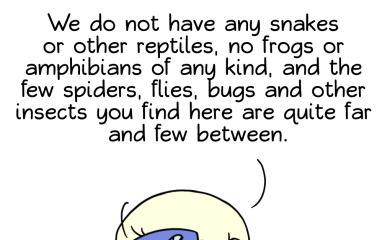thumbnail of Iceland's Bugs