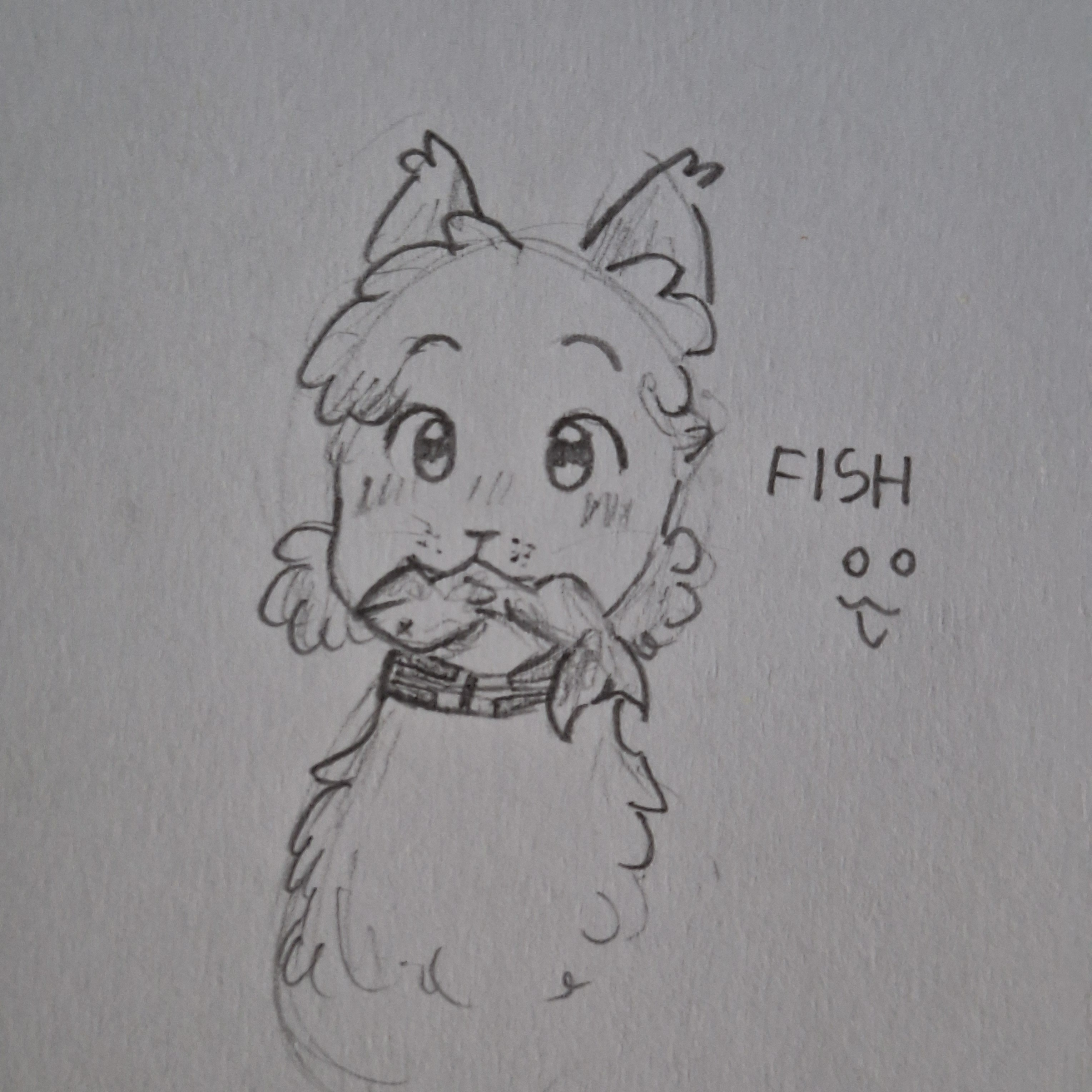 Norcat Fish :3