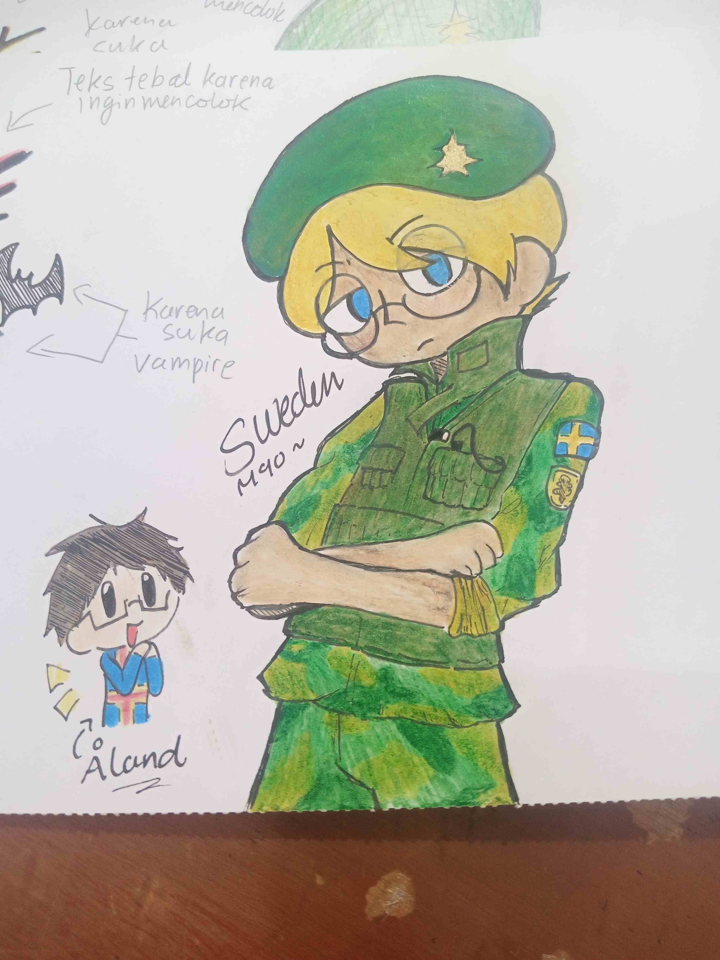 Military Sweden