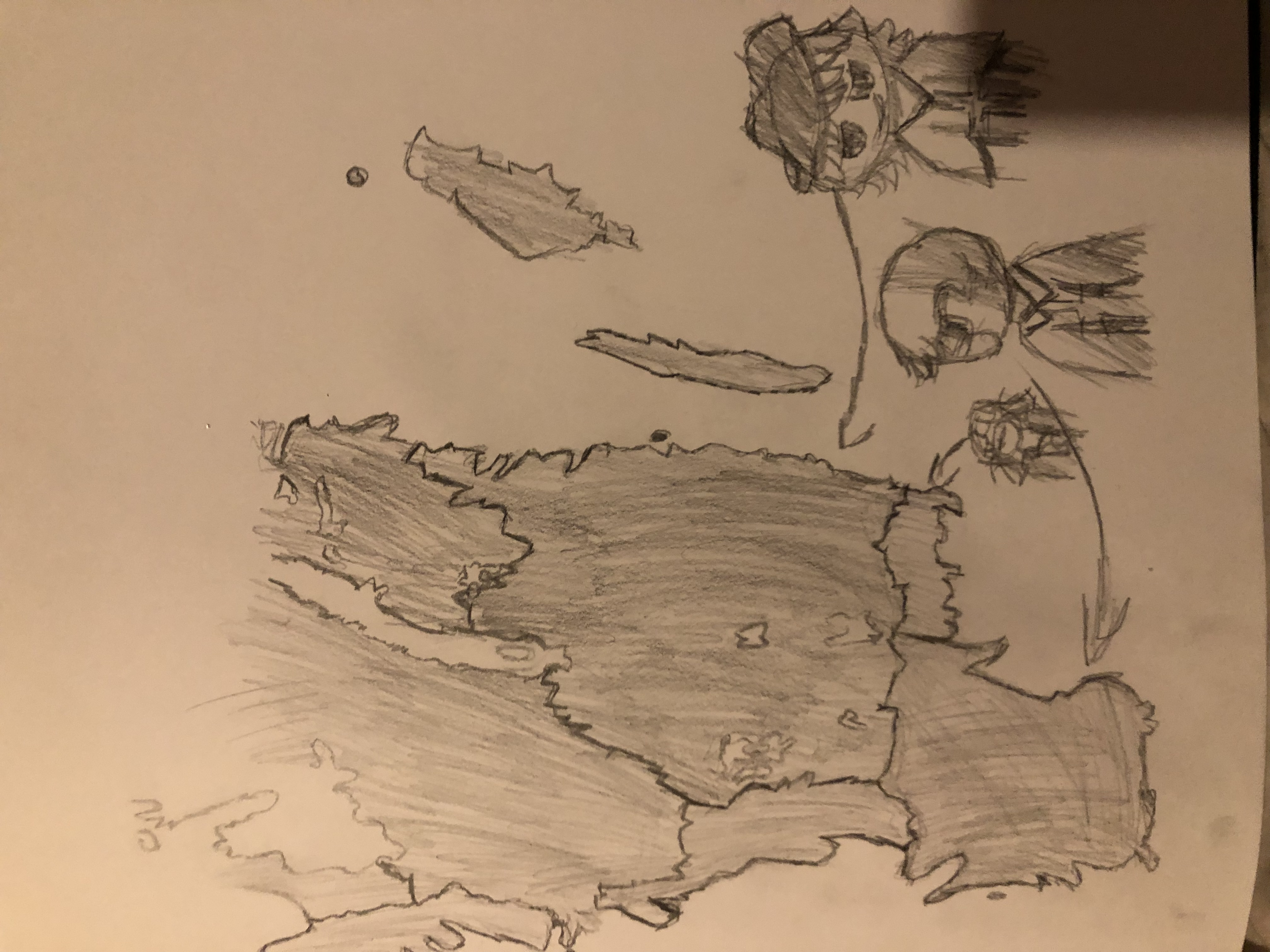 Map i aded characters on to 