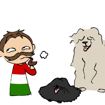 Hungary and His Shepherd Dogs