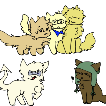 MORE KITTYs
