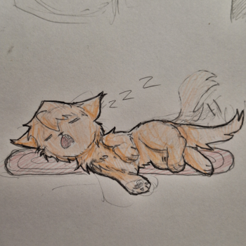 Denmeow ZZZ