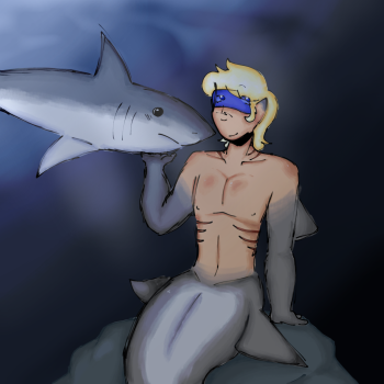 Iceland...sshark....