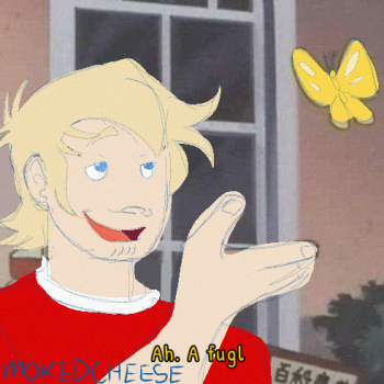 is this a pigeon? but with denmark