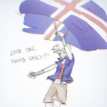 Iceland swag B)