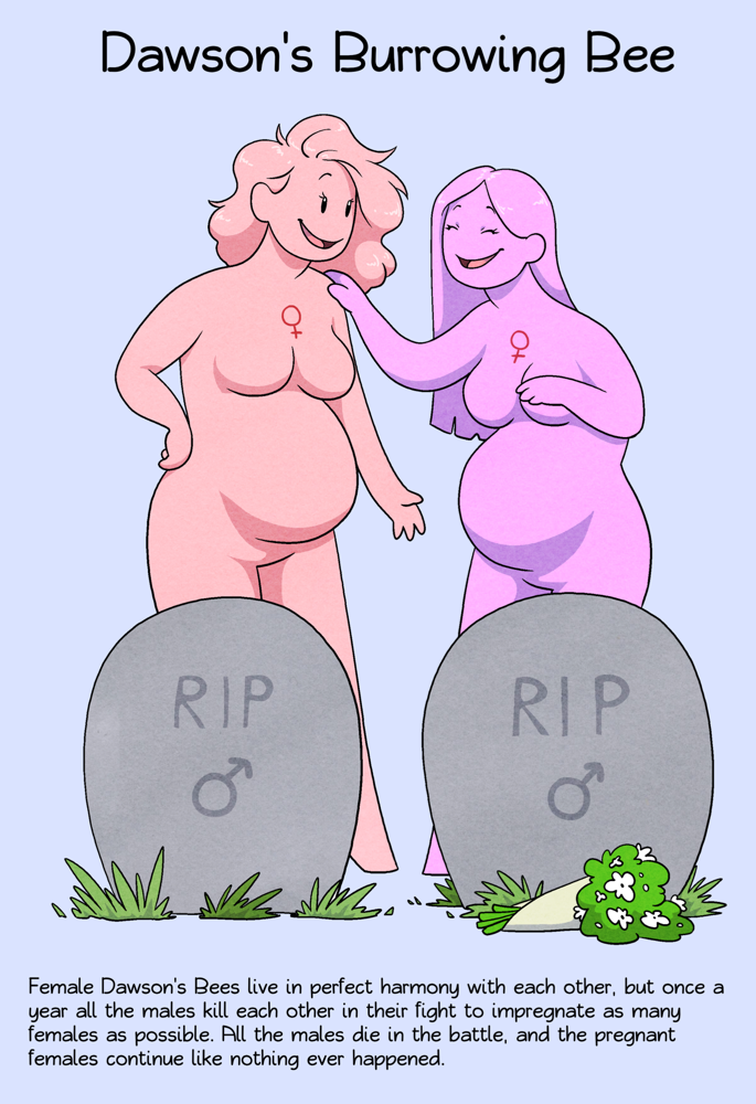 Dawson's Burrowing Bee satwcomic.com